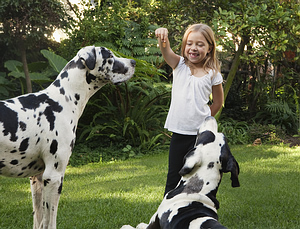 Best dog breed for children
